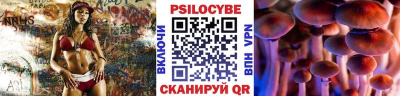 Псилоцибиновые грибы прущие грибы  закладка  Щучье 